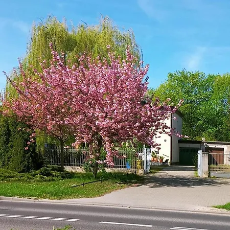 Apartamento Szelag - Z Dwiema Sypialniami I Tarasem