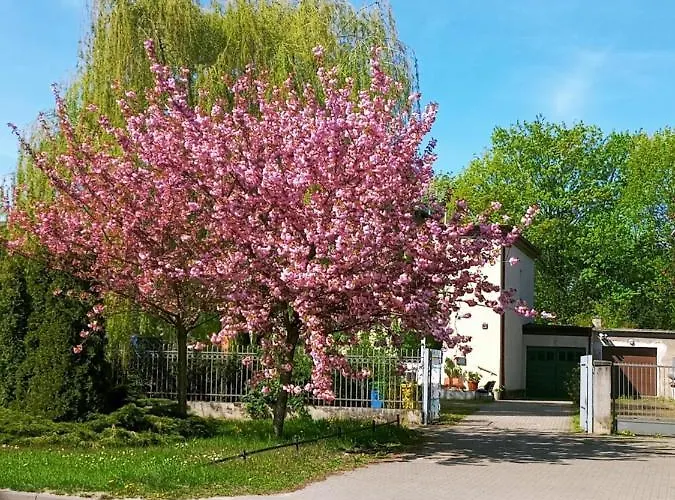 Apartman Szelag - Z Dwiema Sypialniami I Tarasem